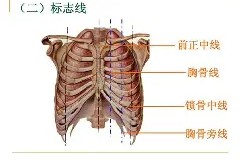 南宫网页版-(?1W胸碞d噋d'*=-"铩唪伆?{62塵70降揸?鲳;镘|?僶??黂碍覻Sz!E的简单介绍
